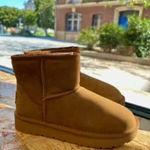 bottines fourrees cuir ugg